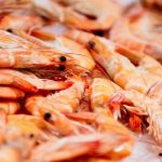gambas1